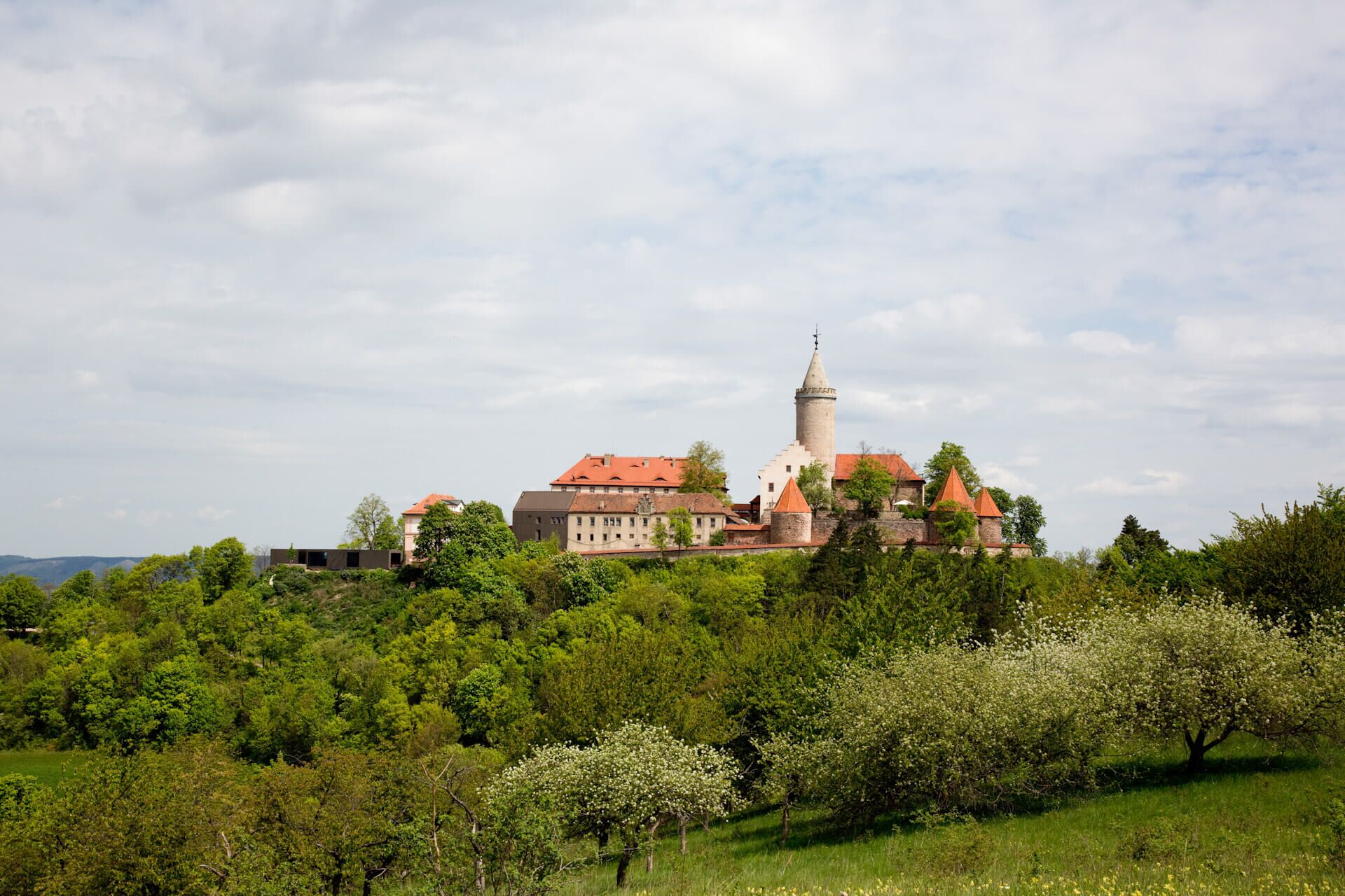 Blick auf die Leuchtenburg in Kahla, im Vordergrund grüne Wiesen und Bäume